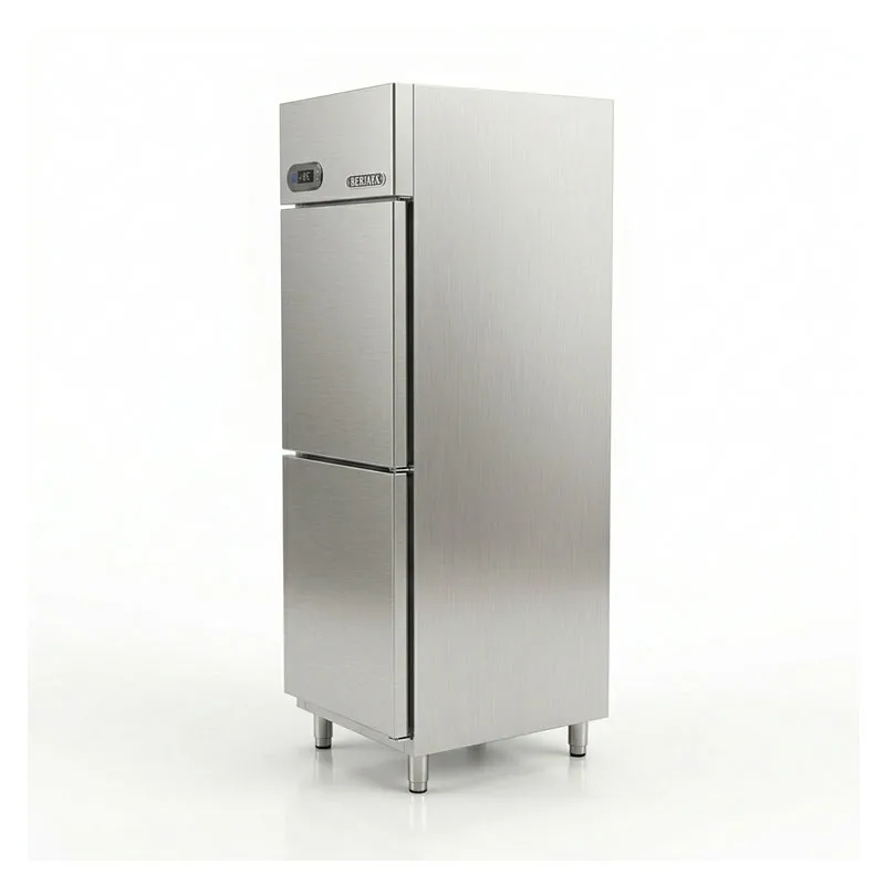 Dòng tủ đông công nghiệp 2 cánh inox